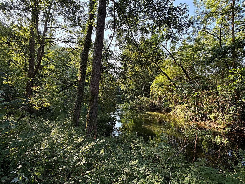 Idylle