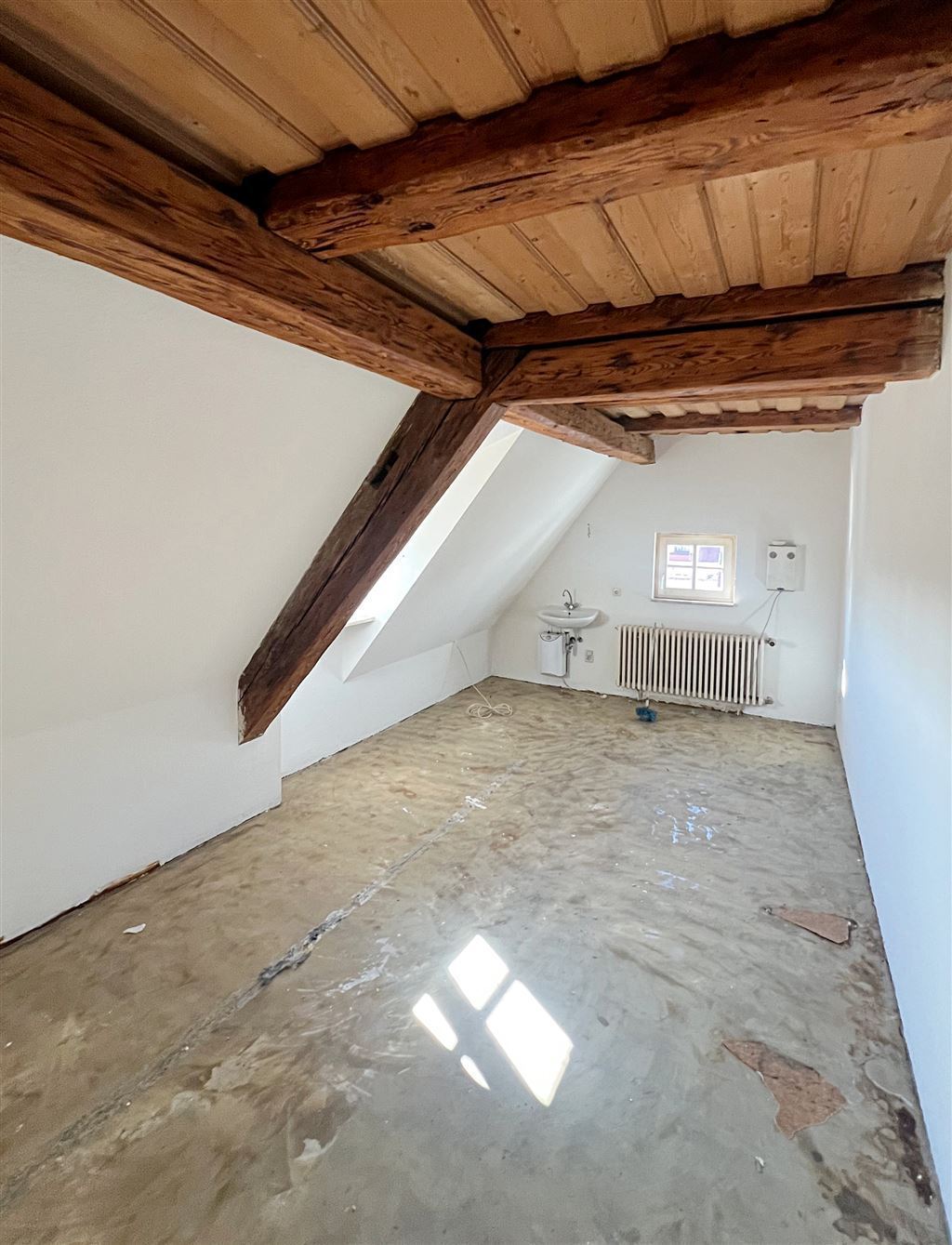 Zimmer DG