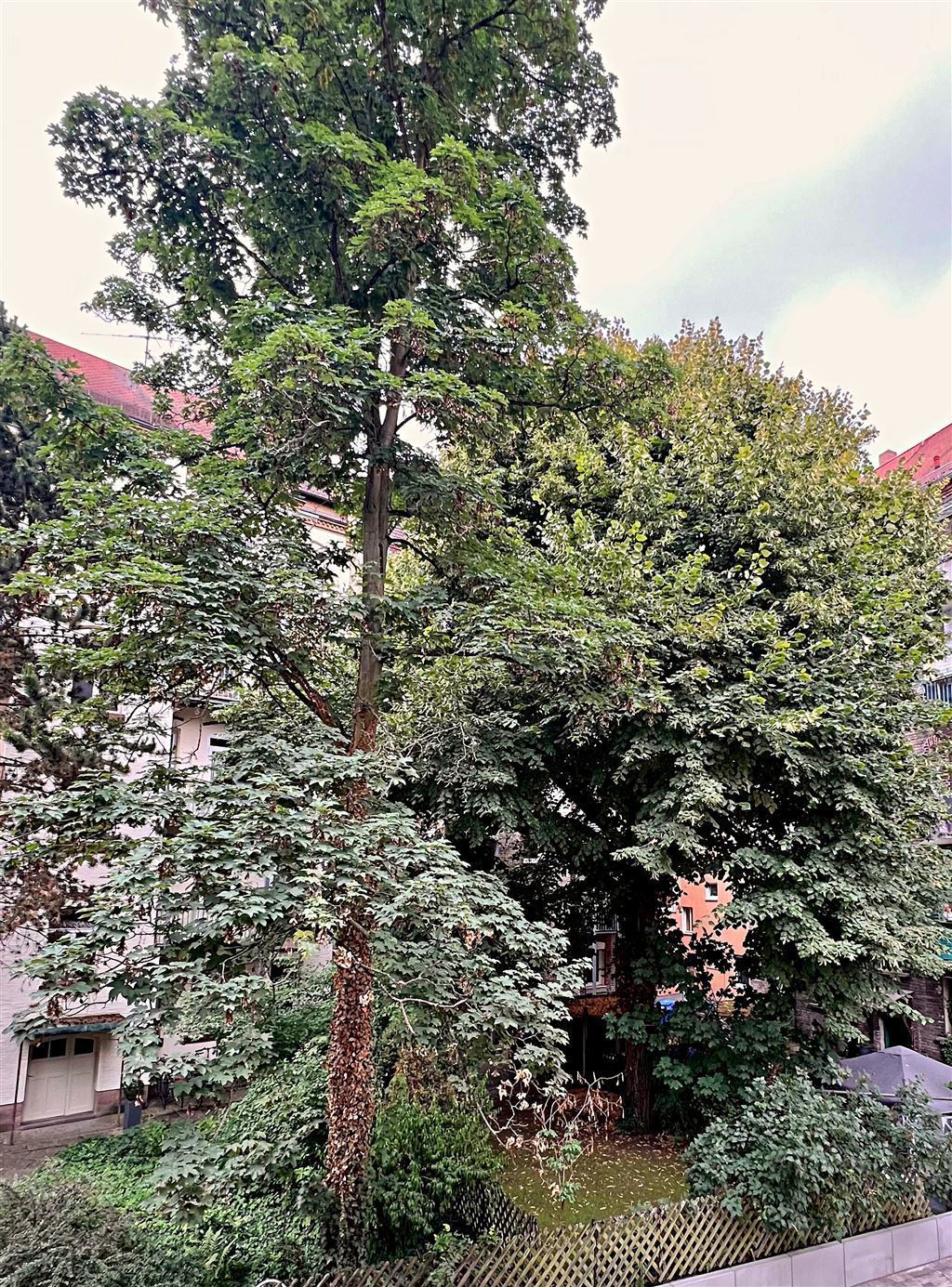 Aussicht in´s Grüne