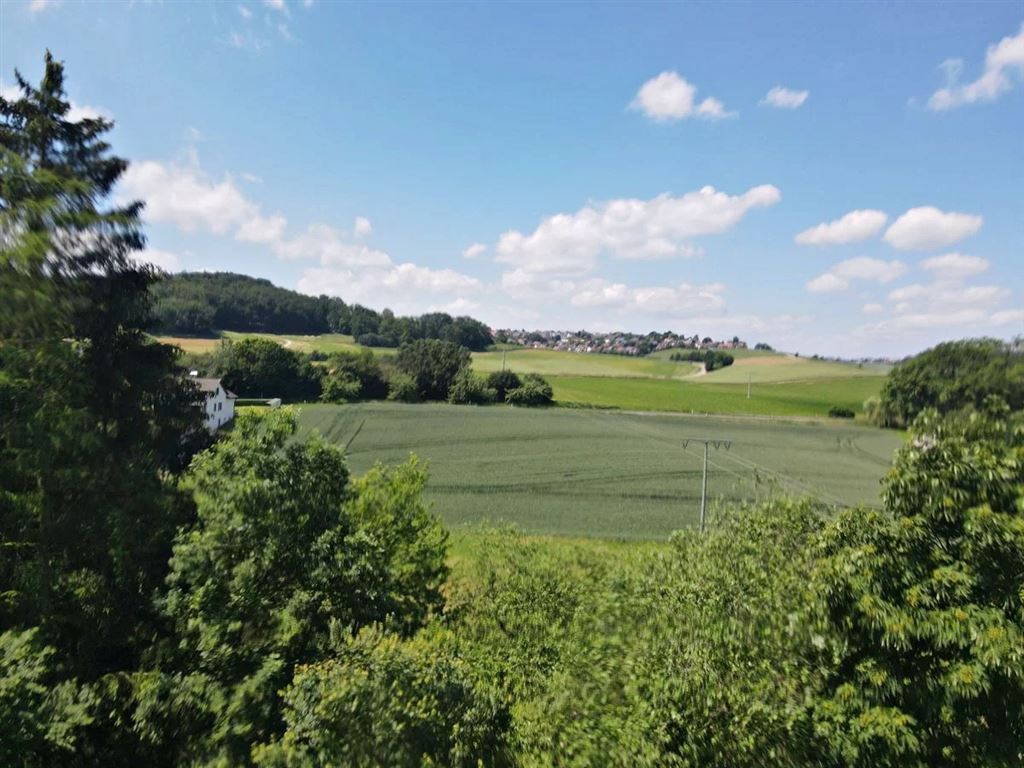 Ausblick im Sommer